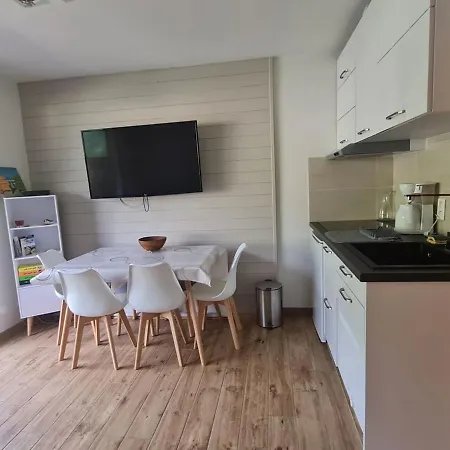 Cosy A Chatel, 100m Des Pistes, Balcon, Wifi, Parking, Jusqu'a 4 Personnes - Fr-1-676-105